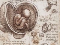 Mësimi i artit dhe herezia e njohjes