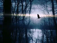 S’kam ardhur të këndoj