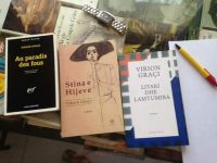 “Mesditë”- Shumë gjëra na dorëzohen të gjalla nga Virion Graçi