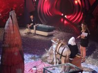 Arbana Osmani sjell gomar në studion e Top Channel