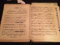 Një melodi shekullore nga terri i ‘900-ës, Ali Pashë Tepelena, muzikë në Saraje