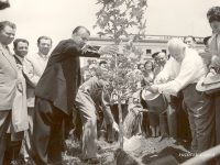 Letra për Enverin: Kompozitori Abdulla Grimci, mban foton e Hrushovit dhe Liri Belishovës