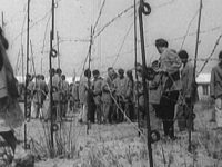 Për gratë e kampit të Tepelenës