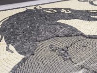 FOTO/ Kumbaro na fton të zbulojmë mozaikët e fshehur të Durrësit