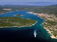 Anton Udina Burburi, njohësi i fundit dhe i vetmi i gjuhës dalmate-ilire