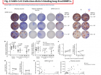“Mbi çdo majë mali ka një shteg, edhe pse ai nuk shihet dot nga rrëza e malit.”