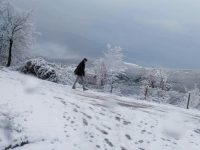 Askush nuk mund ta ndreqë një ëndërr