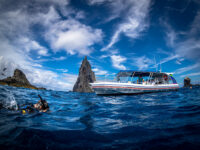 Kulla e gurit më e larta në botë, një mrekulli e natyrës që është dy herë më e madhe se Kulla e Eiffelit